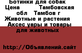 Ботинки для собак › Цена ­ 500 - Тамбовская обл., Тамбов г. Животные и растения » Аксесcуары и товары для животных   